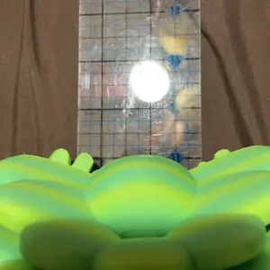 review image 2