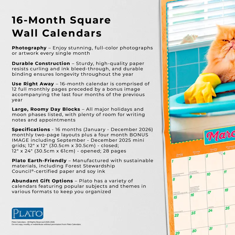 Avanti Cranky Kitties OFFICIAL | 2026 12 x 24 Inch (Hanging) Monthly Square Wall Calendar | Plato | Angry Cat Humor 5