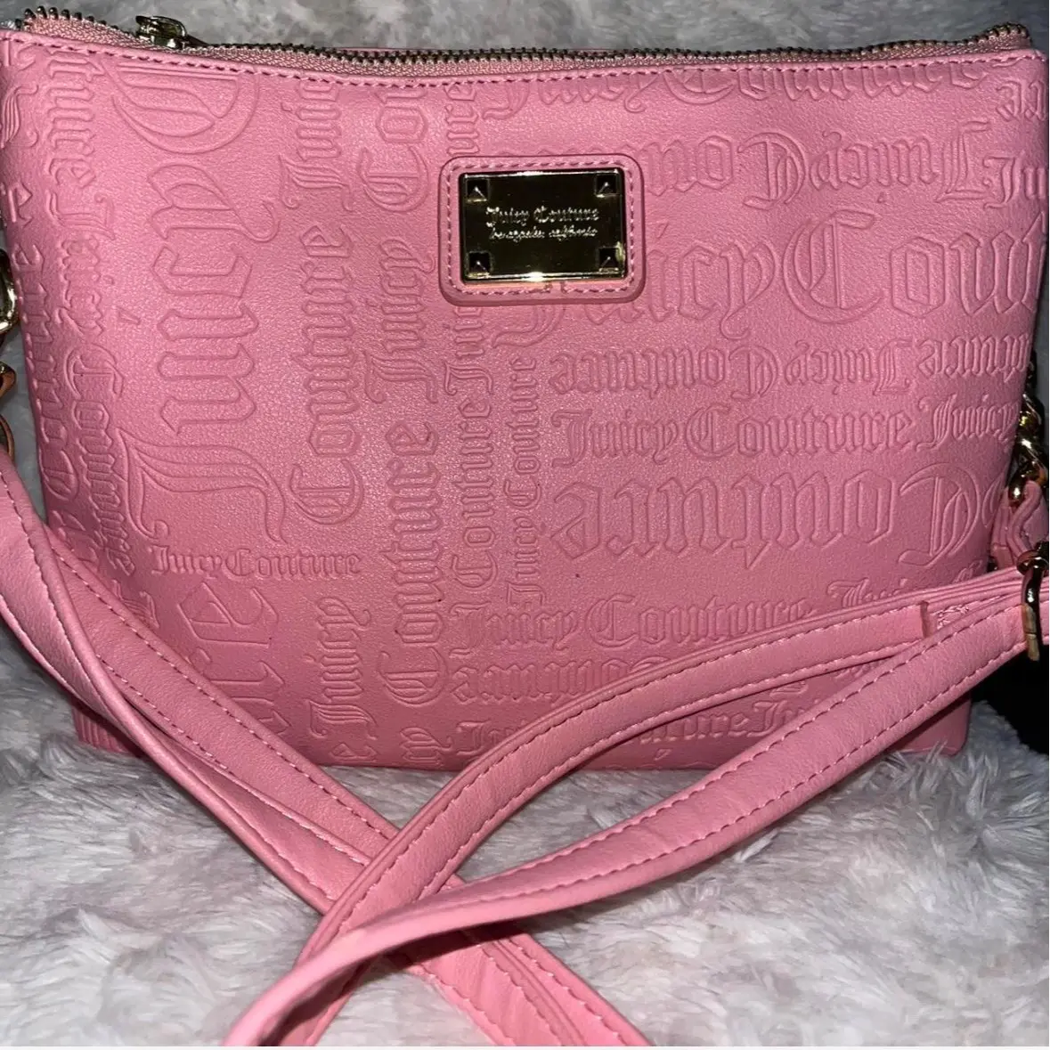 Juicy Couture Purse