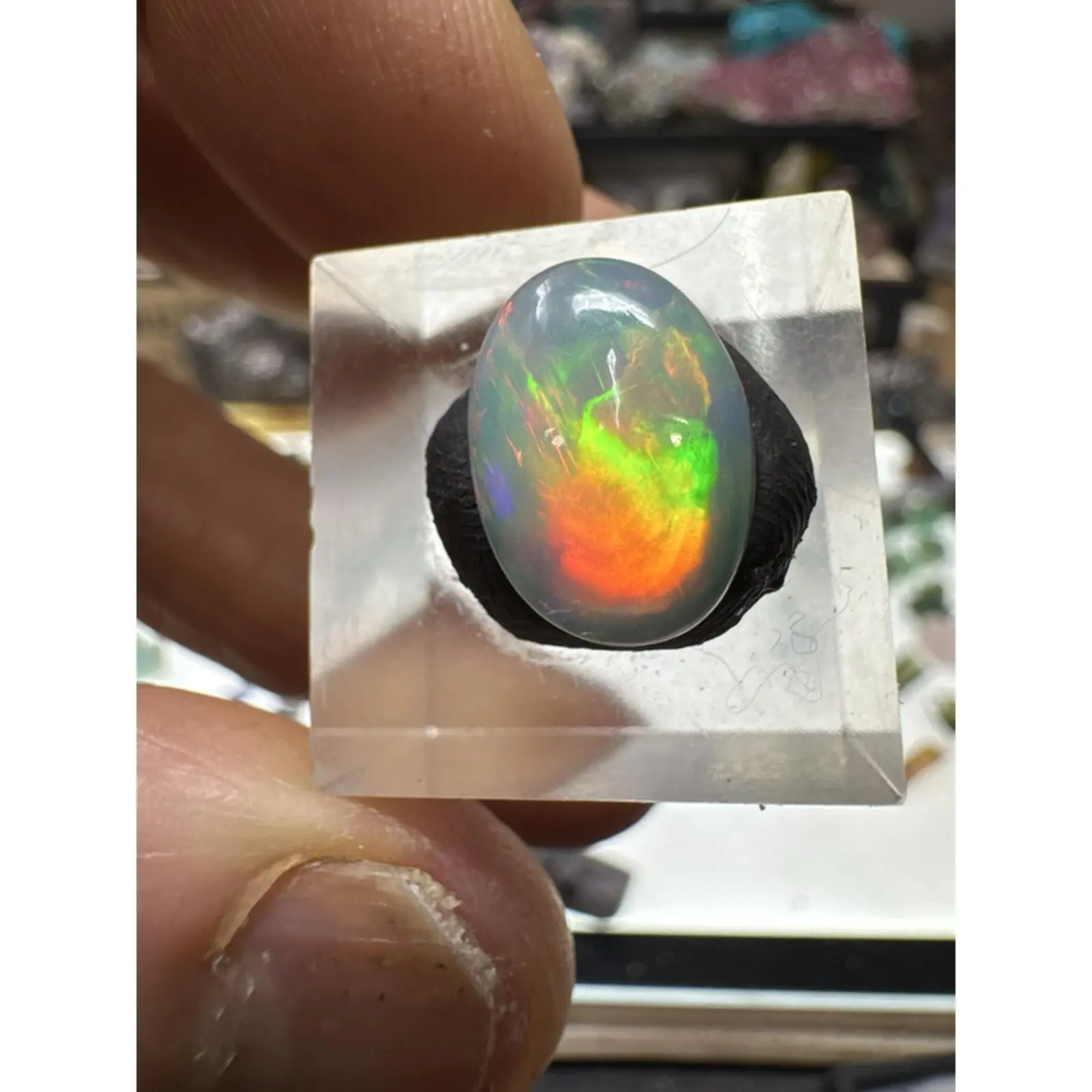 Ethiopian Welo Opal Cabochon - 3.2ct Rainbow Fire Gemstone (#259)