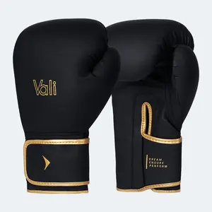 Onyx Boxing Gloves