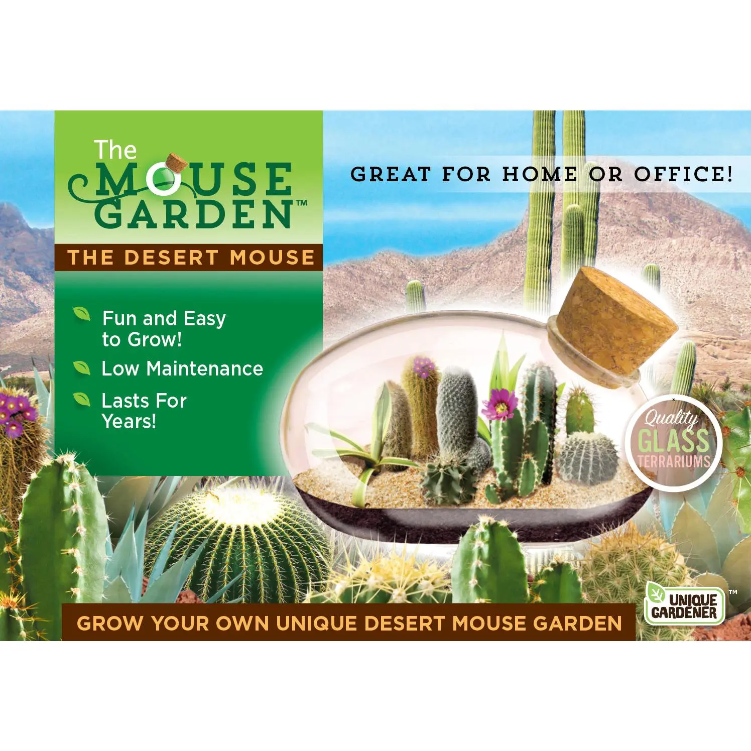 The Desert Mouse Garden Glass Terrarium with Cork