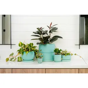 10.5" + 12.5" Nested Calyx Pots with Water Saucers - 2pc/ cspk *Was $98.40 Sale Price $49.20*