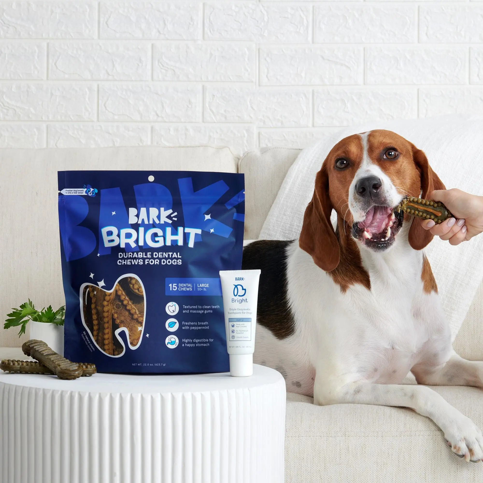 BARK Bright Durable Dental Kit with Toothpaste- Fresh breath and clean teeth in 1 month (15 count)