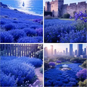 1000PCS Creeping Thyme Seeds | Perennial Ground Cover Plant, Aromatic Herb, Easy to Grow and Low Maintenance, Drought-Tolerant, Suitable for Gardens, Pathways and Outdoor Landscaping