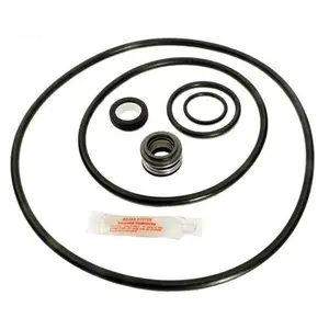 Aladdin Equipment GOKIT79 Sta Rite Max E-Pro Go Kit