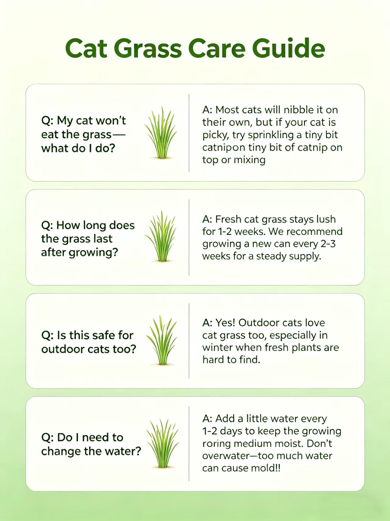 Organic Cat Grass Seeds Pack  Non-GMO Heirloom Cat Grass Seeds for Indoor & Outdoor Cats  100% Organic Cat Grass Seeds - Cat Grass for Indoor Cats - (Non GMO) cat grass seeds Suitable for Indoor Cats Planting Kit with Organic Seed Mix cat stuff for indoor