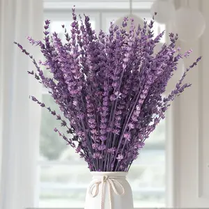 Dried Purple Lavender Flowers Bundle-Dried Preserved Lavender Bouquet 15-17" for Shower Weeding Home Vase Decor, Crafts, Aromatherapy, Fragrance, Fresh Silk Dry Live Plants