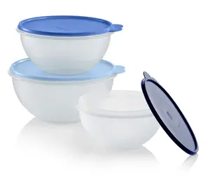 Tupperware Wonderlier Bowl 3-Pc. Set - Airtight Storage