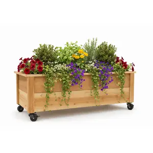 Cedar Raised Garden Bed Planter Box with Caster Wheels – Rolling Wooden Planter