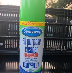 Sprayway All-Purpose Disinfectant Cleaner, Foam Cleaner