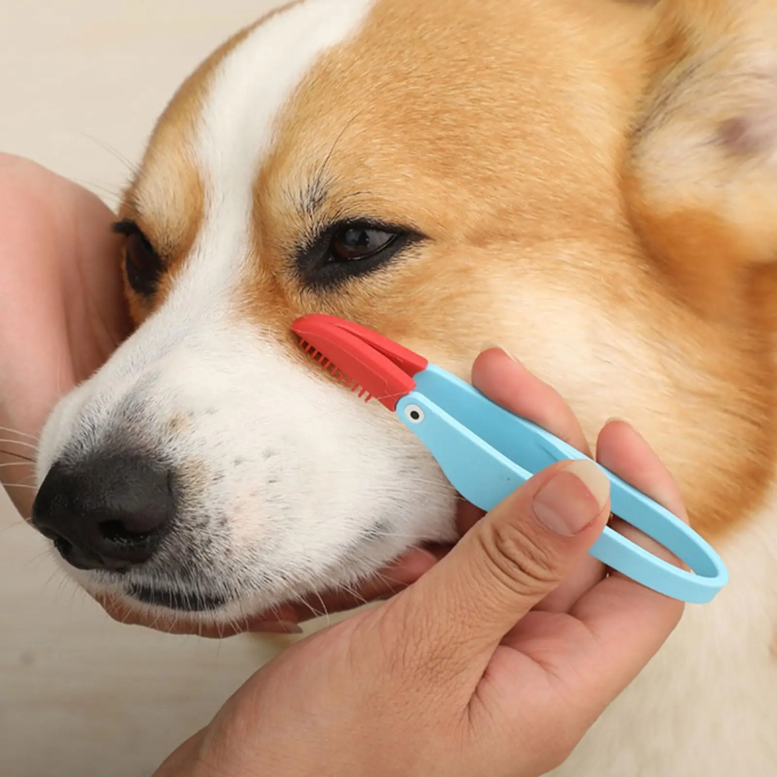 Effective Pet Eye Grooming Tool Set, Includes Comb Tweezers Brush for Tear Stains Removal, Gentle Cleaning for Pets' Eyes