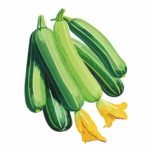 Cocozelle Summer Squash