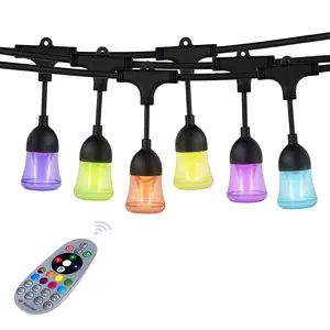 RGB String Lights with Remote and APP, 32FT 12 Bulbs color changing string lights, Dimmable LED Hanging Lights, IP65 Waterproof, Shatterproof Bulb for Patio Backyard Christmas Party