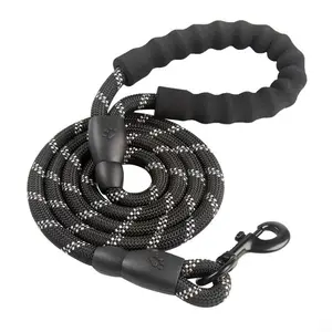 Reflective double silk pet leash dog chain universal large, medium and small dog walking nylon dog leash Amazon cross-border explosion