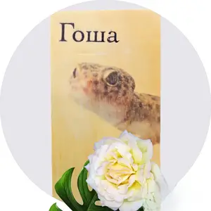 Custom Pet Picture on Wood Pet Picture Memorial Gift Pet Photo Personalized Pet Memorial Picture Pet Loss Gift Pet Wood Memorial Ornament