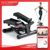 Smart Twist Stepper (300lbs Capacity)