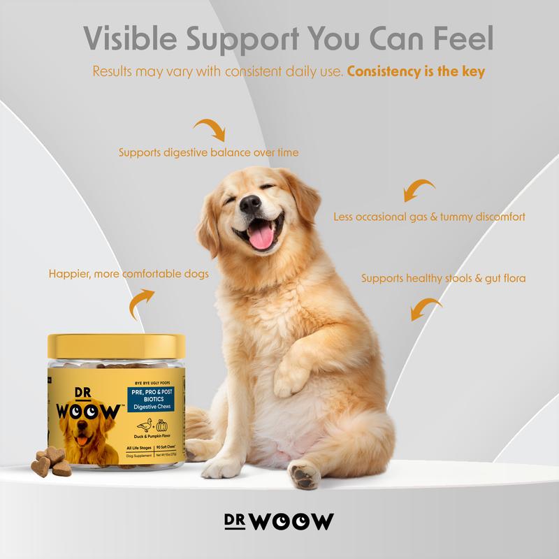Probiotic Chews for Dogs – Gas, Bloating & Digestion Support | Dr Woow