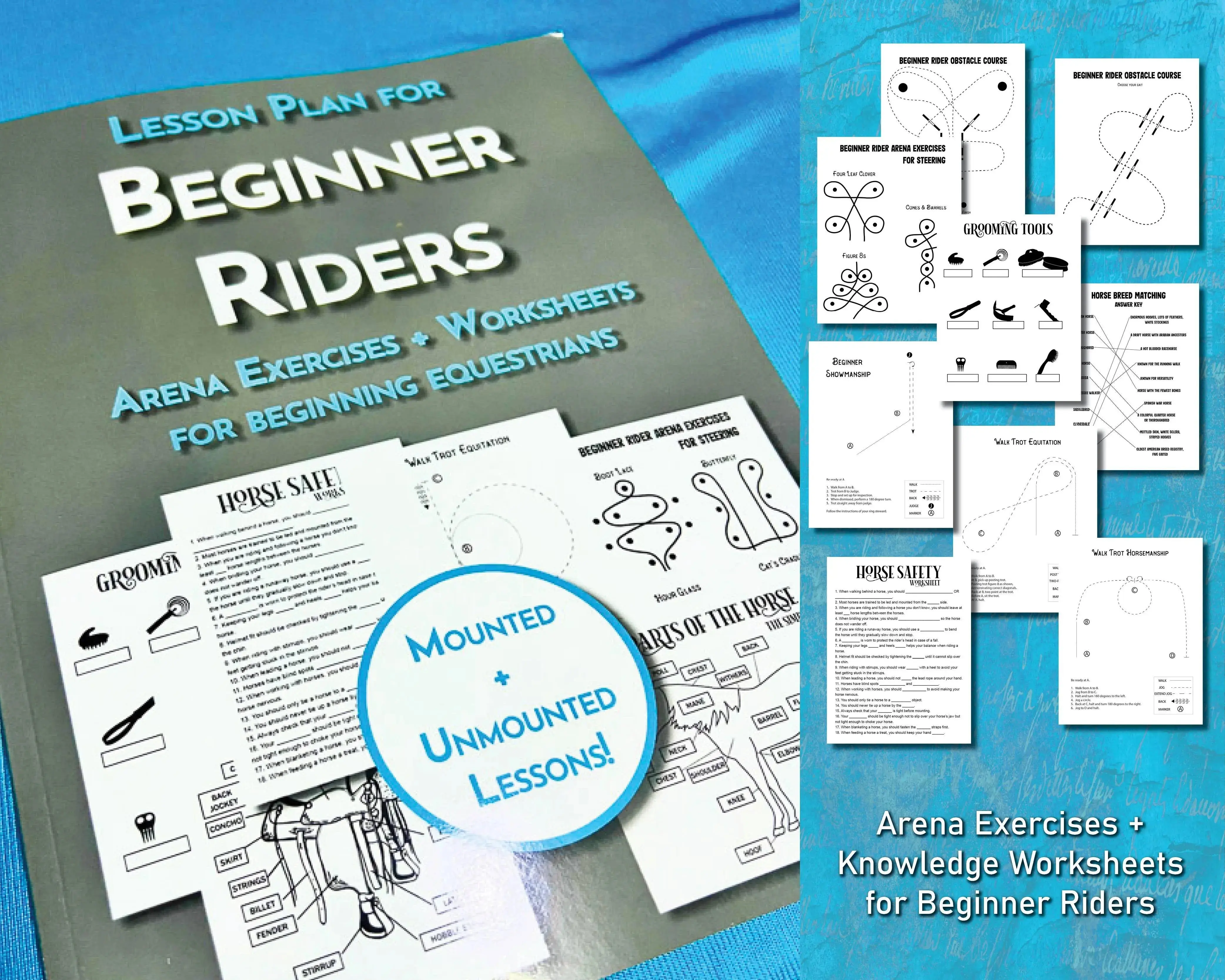 Beginner Rider Lesson Plan