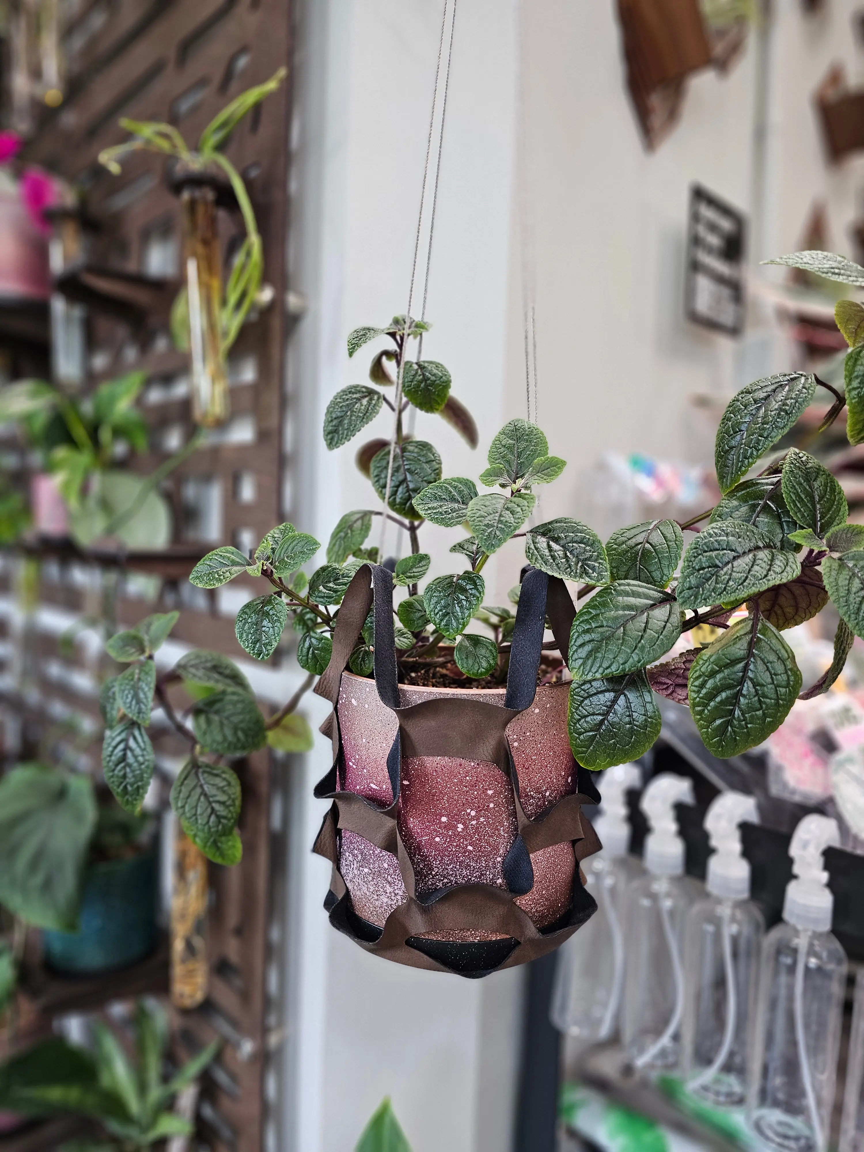Large Plant Hanging Hammock