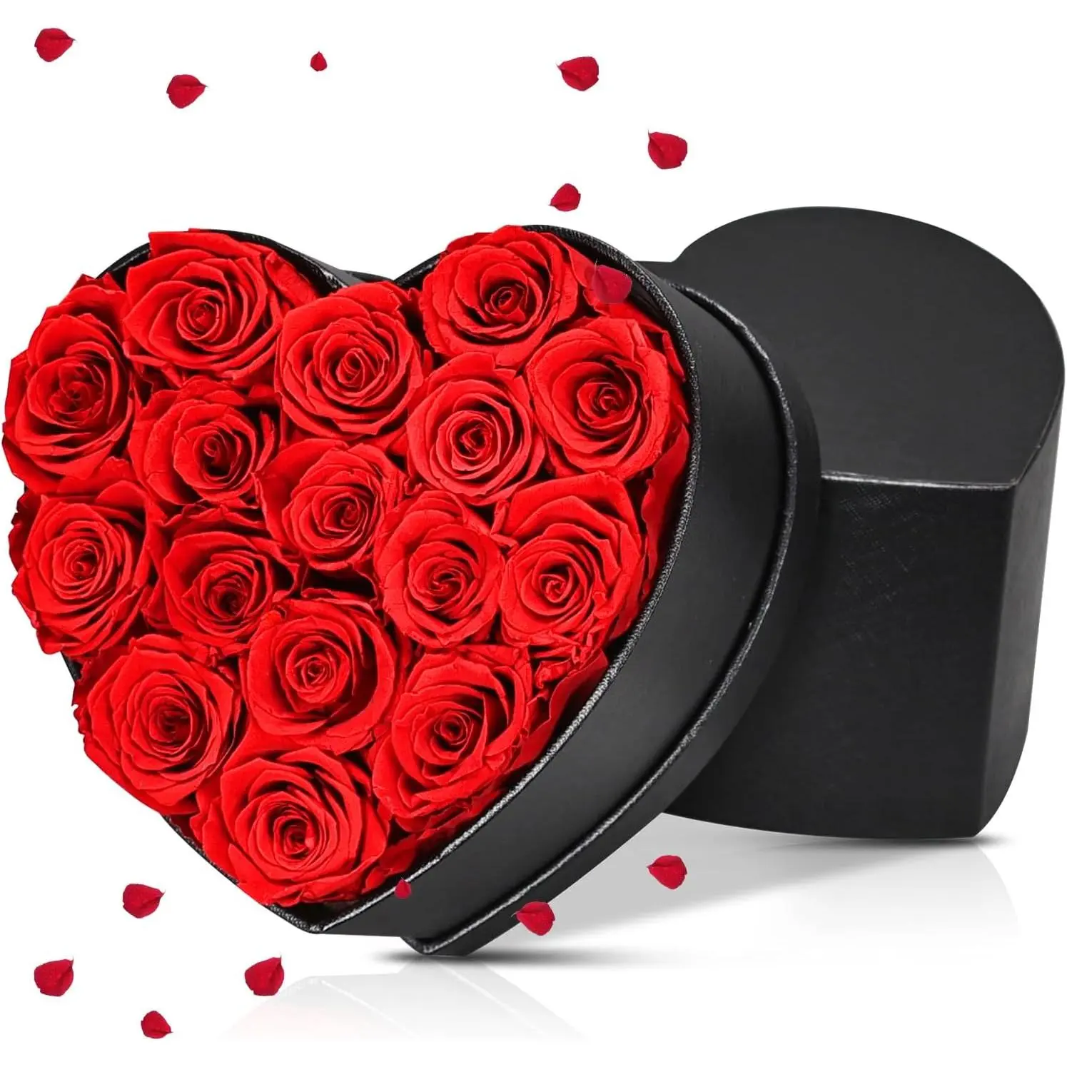 Preserved Red Roses  Box, 16 Roses in Black Box with Bow, Forever  for Birthday, Valentine's Day Mother's Day (Red -16)