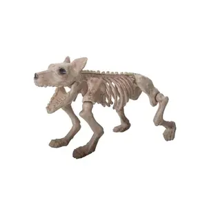 BONE SKELETON DOG