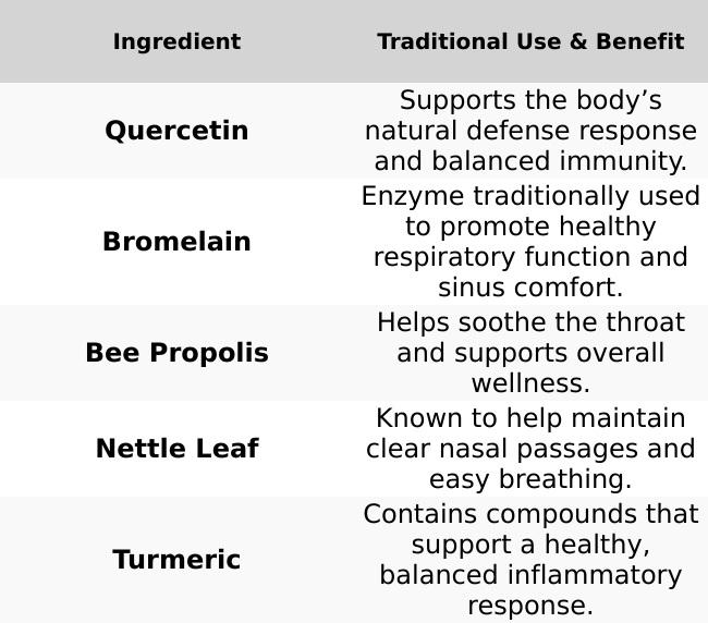 Elderberry Boost Sinus & Throat Support - All-Natural Formula with Bromelain & Nettle Leaf - Vegan, Non-GMO, Gluten-Free - 60 Capsules Made in the USA