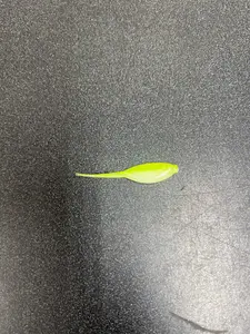 2 Inch Big Minnow Crappie Bait 20 Pack