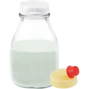 Kitchen Tools 16 oz Glass Milk Bottle With Lid and Pour Spout-Small Glass Creamer Container for Refrigerator - Airtight Pint Milk Bottle for Coffee, Tea, and Liquid Storage