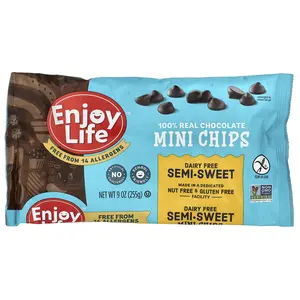Enjoy Life Foods 100% Real Chocolate Mini Chips, Semi-Sweet, 9 oz (255 g)