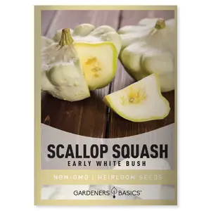 Early White Bush Scallop Squash Seeds