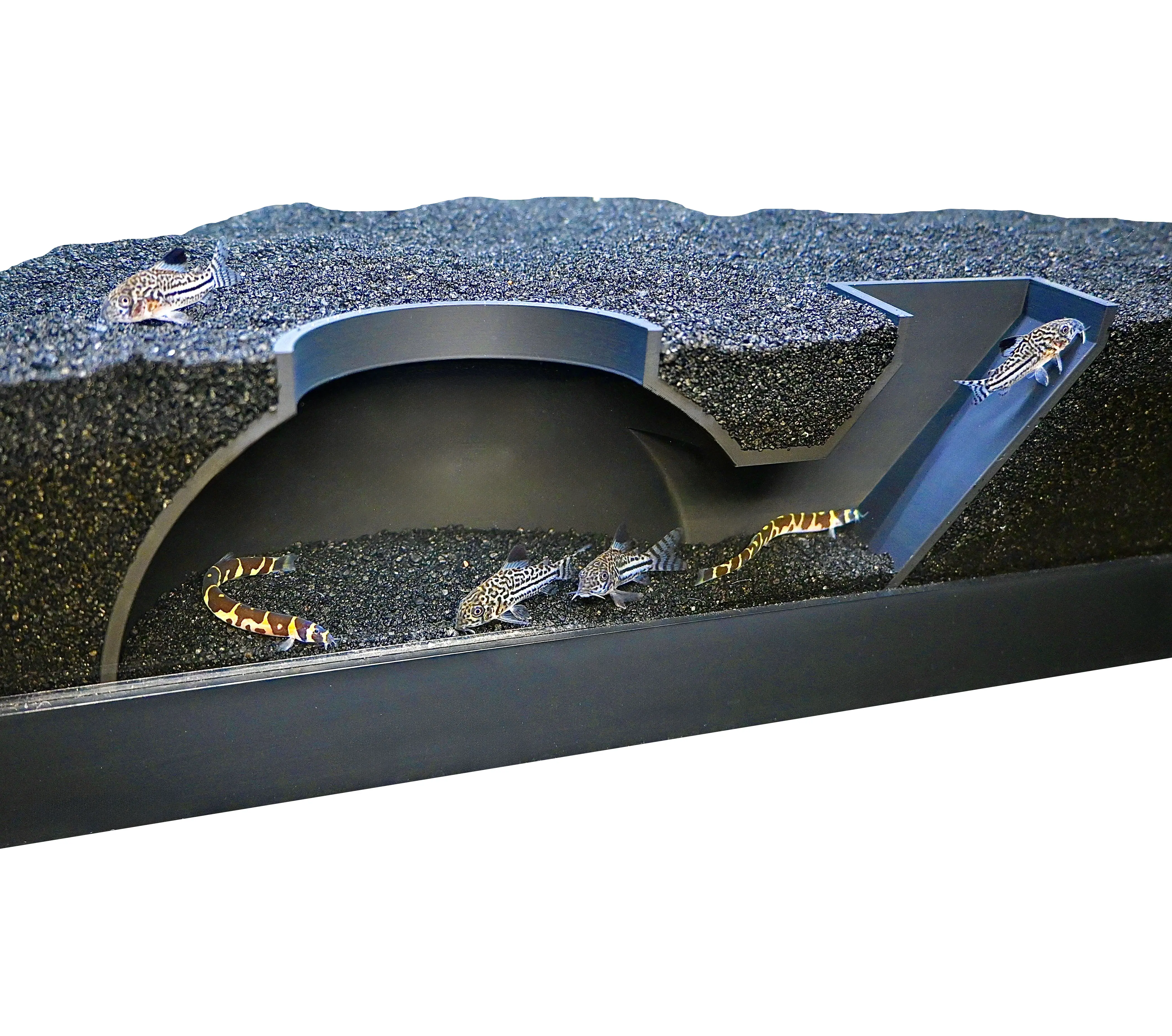 Fish Tank Underground Dome Tunnel | Viewing Fish & Shrimp Aquarium Under Gravel Cave | Fish Tank Decor Hideaway Perfect for Corydora Catfish, Kuhli Loach, Clown Loach, Pleco