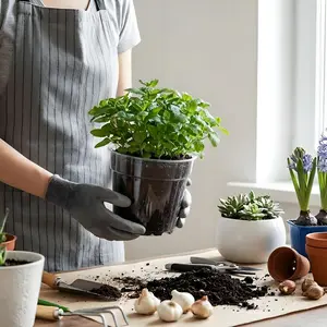 20 Pack 6 in Clear Nursery Pots for Plants with Saucers, Thickened Plastic Plant Pots with Drainage Holes, 20 Pack 6 in Clear Nursery Pots  Transparent Seeding Start Planters for Indoor Outdoor