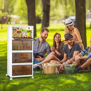 4-Tier Foldable Storage Bins with Lid Front Magnetic Door Collapsible Stackable Closet Organizer Containers with 4Pcs 360° Rotatable Wheels