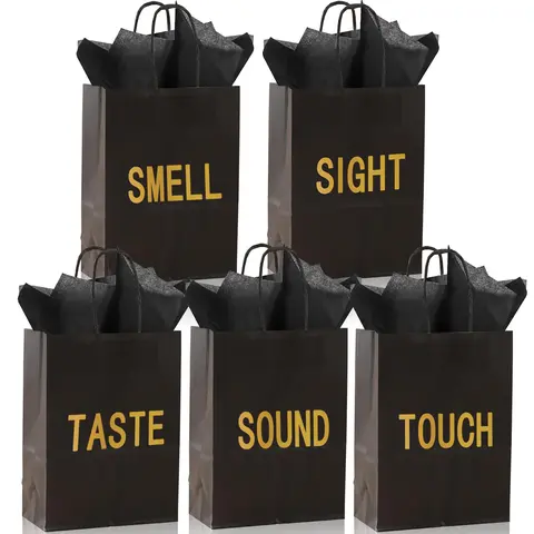 Black Paper Gift Bags with Handles, 5-Count Gift Wrapping Bag Set for Birthday, Birthday Favors, Wedding and Anniversary, Party Gift Packs, Graduation Gifts and Mystery Birthday Gifts for Him or Her, Unique Bags, Party Favor Packs, Goody Bags, Goodie Bags