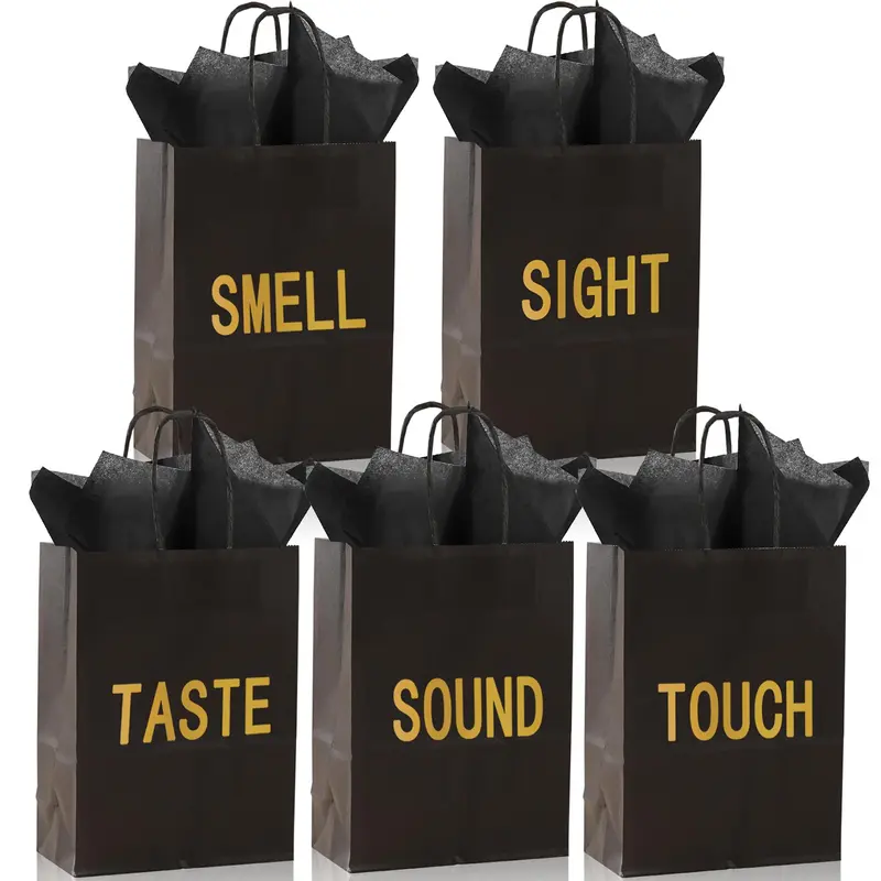 Black Paper Gift Bags with Handles, 5-Count Gift Wrapping Bag Set for Birthday, Birthday Favors, Wedding and Anniversary, Party Gift Packs, Graduation Gifts and Mystery Birthday Gifts for Him or Her, Unique Bags, Party Favor Packs, Goody Bags, Goodie Bags