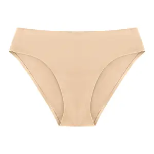 HSIA SmoothFit Seamless Invisible Panty No Camel Toe Soft Stretch Brief Underwear
