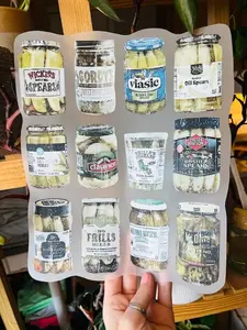 Pickle Collection DTF Transfer