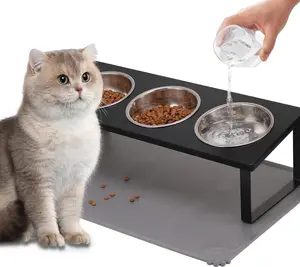 Upgraded Elevated  Bowls with  Mat,15Tilted Stand Anti Vomiting Raised  Dishes for  and Water,3 Stainless Steel Bowls for Cats and PuppyBlack