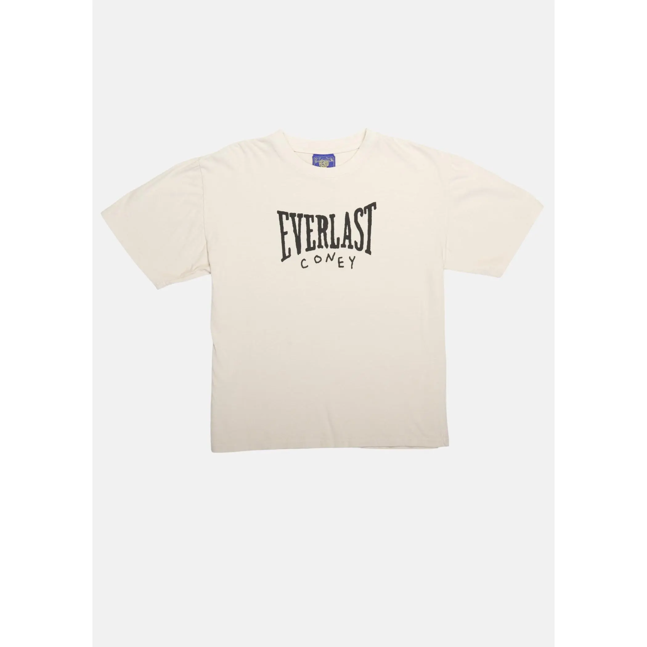 x Everlast Logo Short Sleeve Boyfriend Tee