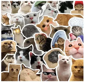 Cat Stickers,Funny Cat Meme, Kawaii for Kids Adults