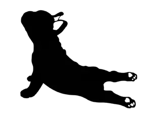 frenchie dog bulldog pet animal vinyl decal sticker 5" car decor bumper sticker