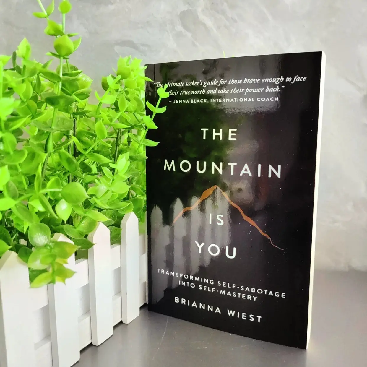Mountain Is You Original Edition Book, Self-Transformation Guide, Inspiring Personal Growth, Must-Read Literature, Life