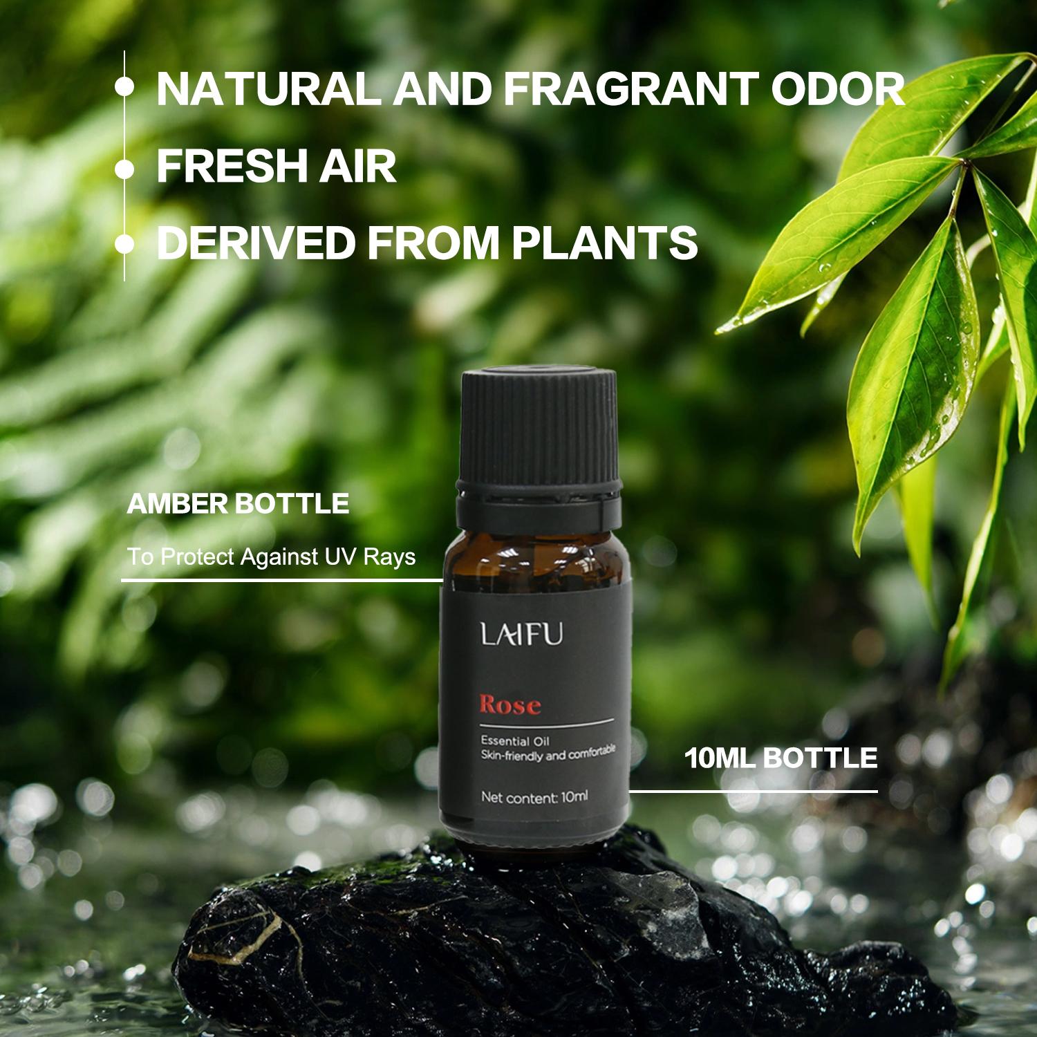 20x10ml Essential Oils Set for Diffuser Aromatherapy Candle Making Tropical Scents Plumeria Coconut Pina Colada Bali Strawberry Ocean Breeze Home Fragrance Relaxation valentine day Gift Idea Bath Bottle humidifier