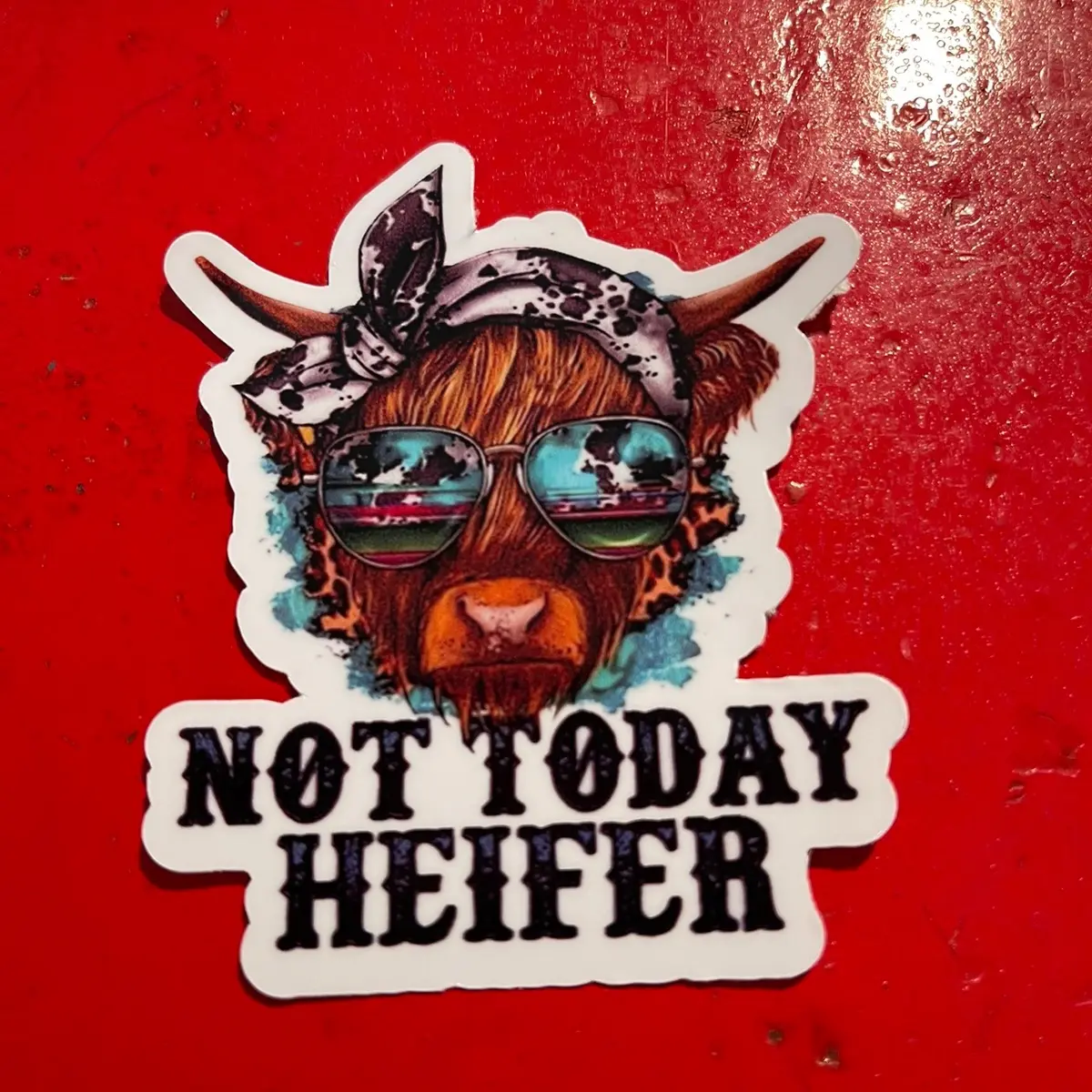 2 Pack - 3.25 x 2.75 “Not Today Heifer” Highland Cow Vinyl Sticker Decal Decorative Decor Set