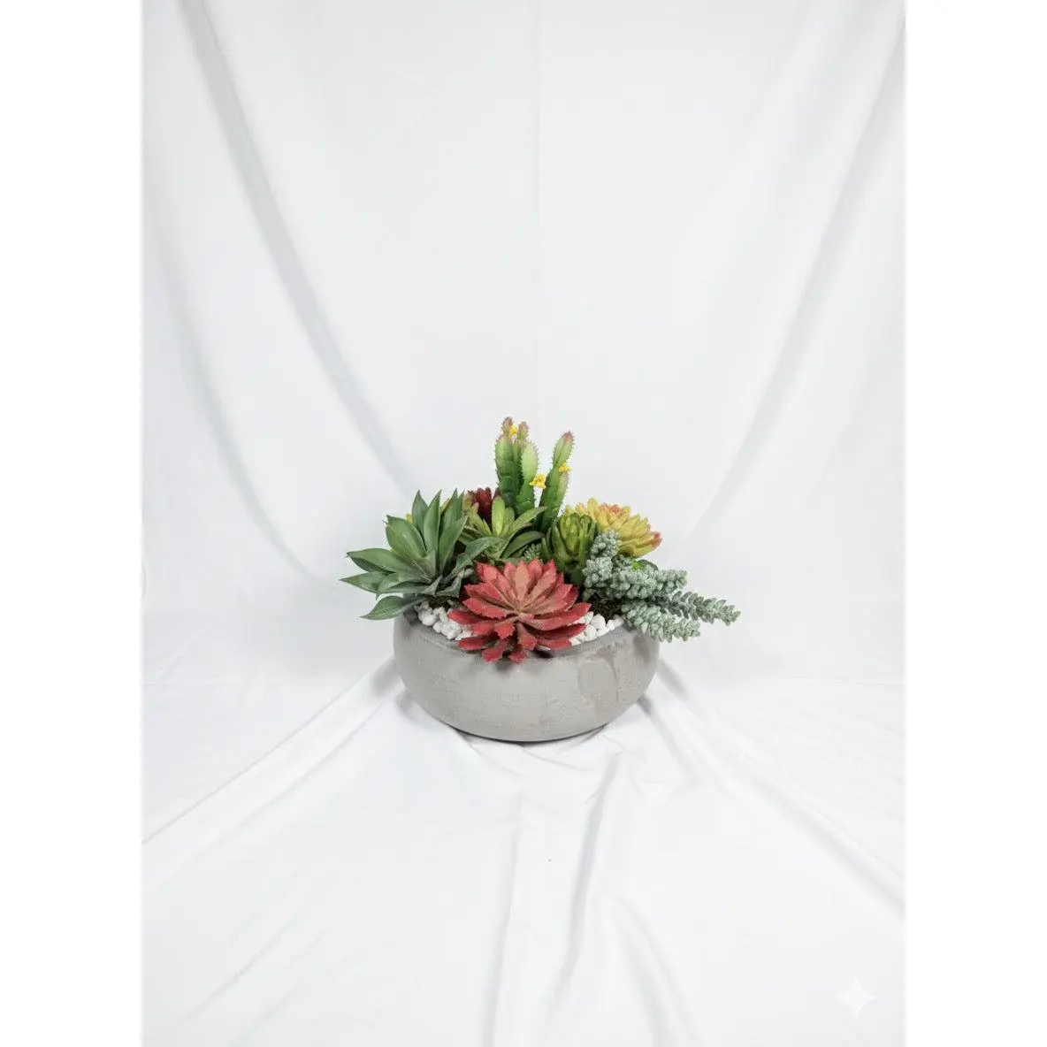 Kivaar Passion Succulent Decorative Artificial Plants with White Stone Relleno for Home Decor Durable Cement Base Ideal for Any Space Colorful Fruit Ornaments
