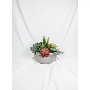 Kivaar Passion Succulent Decorative Artificial Plants with White Stone Relleno for Home Decor Durable Cement Base Ideal for Any Space Colorful Fruit Ornaments
