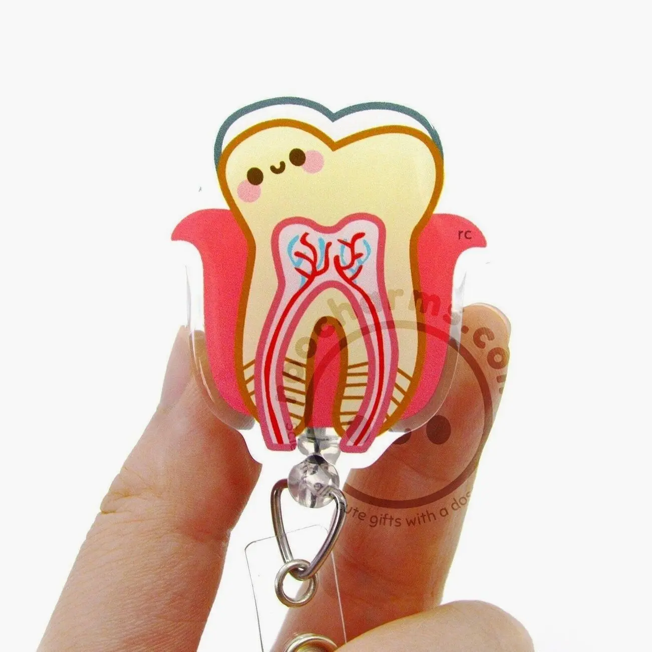 Tooth Acrylic Badge Reel for Dentists, Dental Students, Dental Hygienists, Orthodontists, Medical, Anatomy ID Lanyard, Retractable roocharms