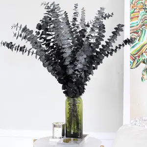15 count Real Black Eucalyptus Stems - Black  and 17 Inch Preserved  Eucalyptus Leaves Branches for Flower Arrangement DIY and  Decor Halloween Farmhouse Vase Decoration