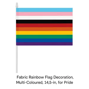 Inclusive LGBTQ+ Handheld Rainbow Flag